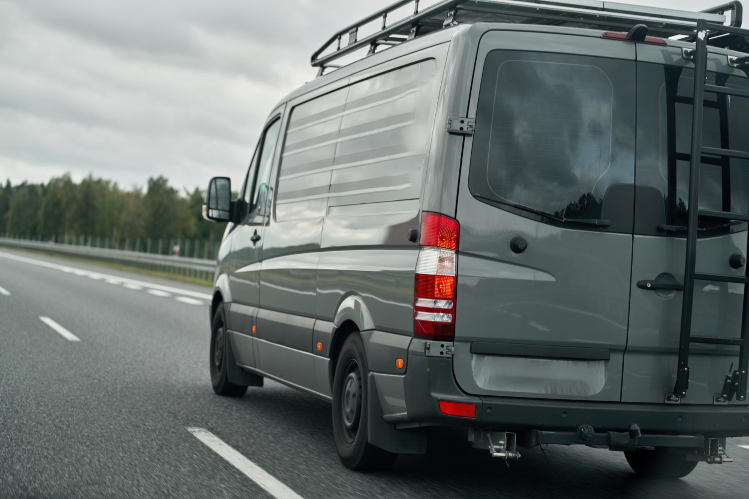 rear door ladder