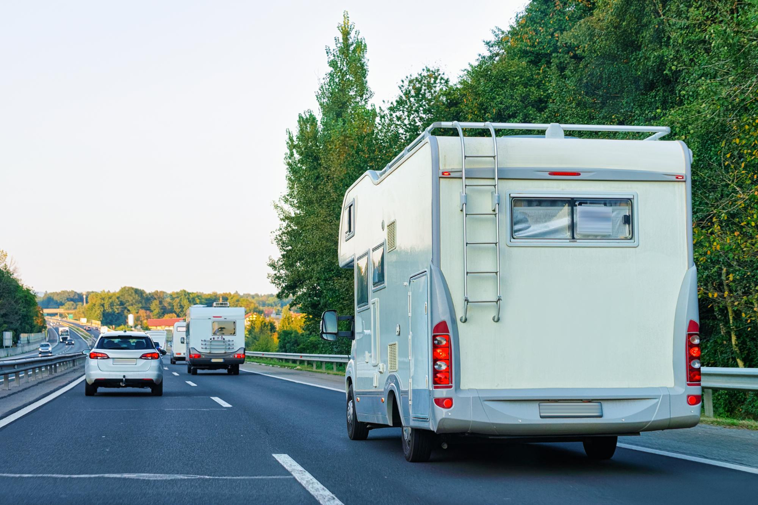 Van Rear Door Ladder